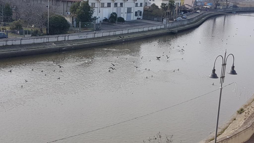 Palazzo Spada - Attico Con Terrazza Vista Fiume In Centro Кодигоро Экстерьер фото